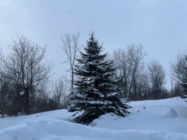 0 North Street, Arcade, NY 14009