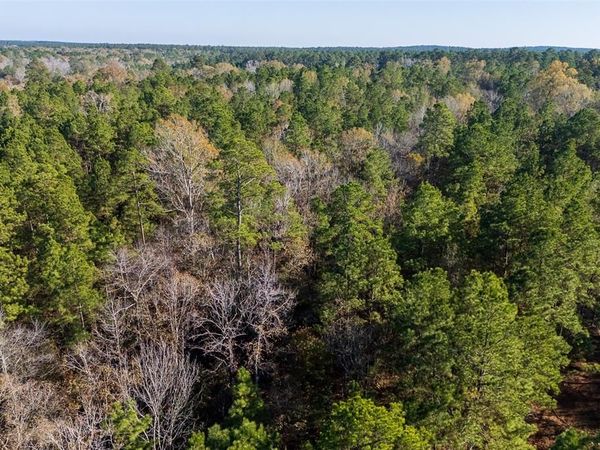 00 County Road 1135, Kennard, TX 75835