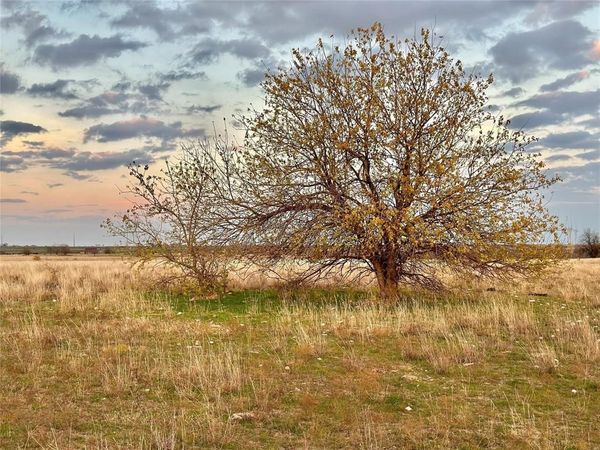 96.8 Acres County Road 353 , Gainesville, TX 76240
