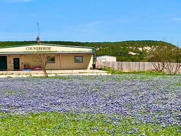 101 Cedar Gap Trail , Tuscola, TX 79562