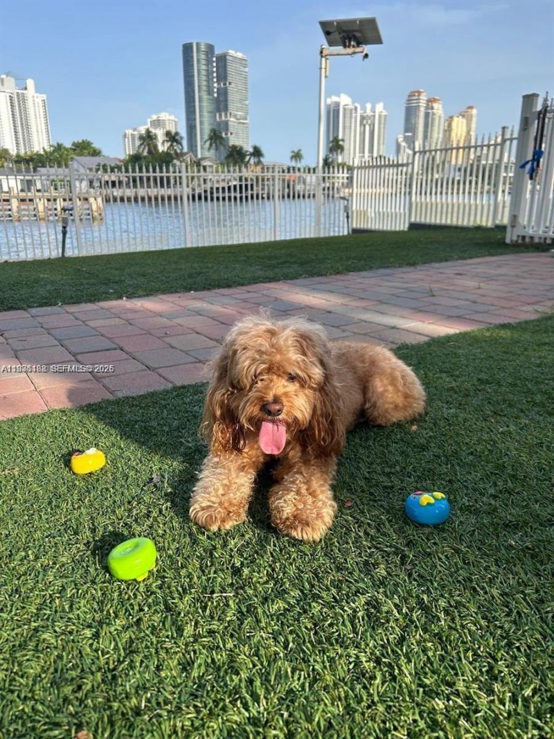 19195 NE 36th Ct, Unit 1706, Aventura, FL 33180 Photo