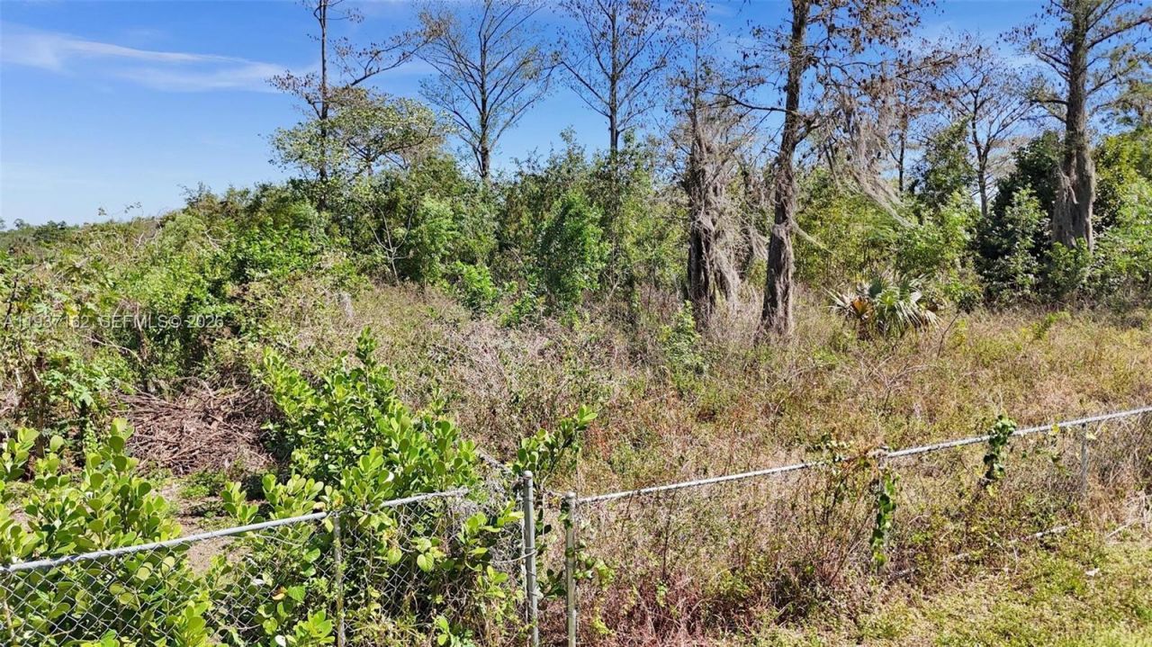 19784 S 116th Ave S , Boca Raton, FL 33498 Photo