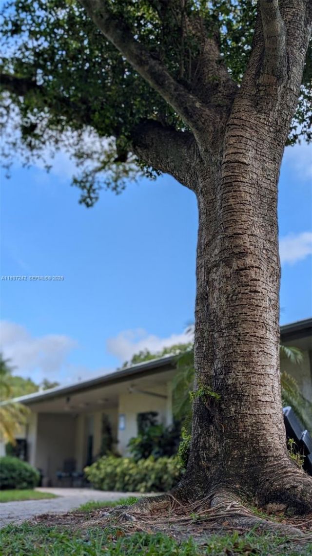 6080 NW 44th St , Unit 305, Lauderhill, FL 33319 Photo