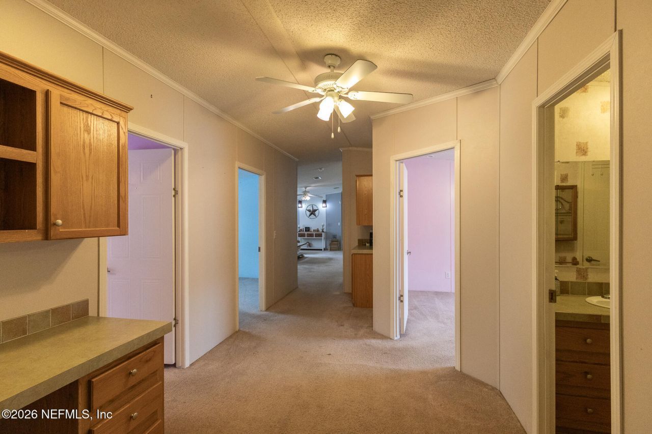 203 Palmetto Court, Georgetown, FL 32139 Photo