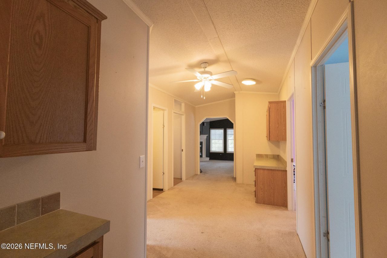 203 Palmetto Court, Georgetown, FL 32139 Photo