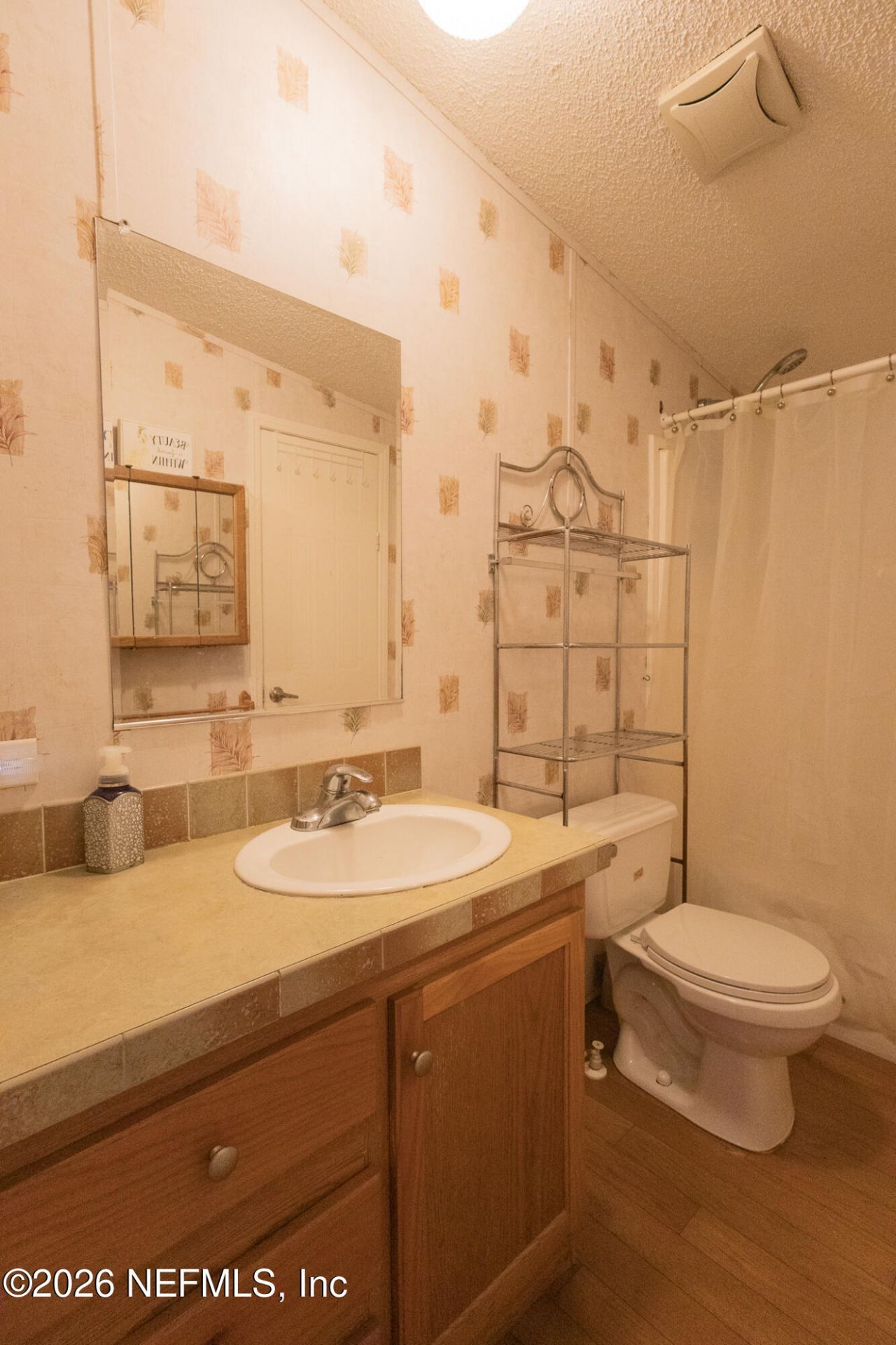 203 Palmetto Court, Georgetown, FL 32139 Photo