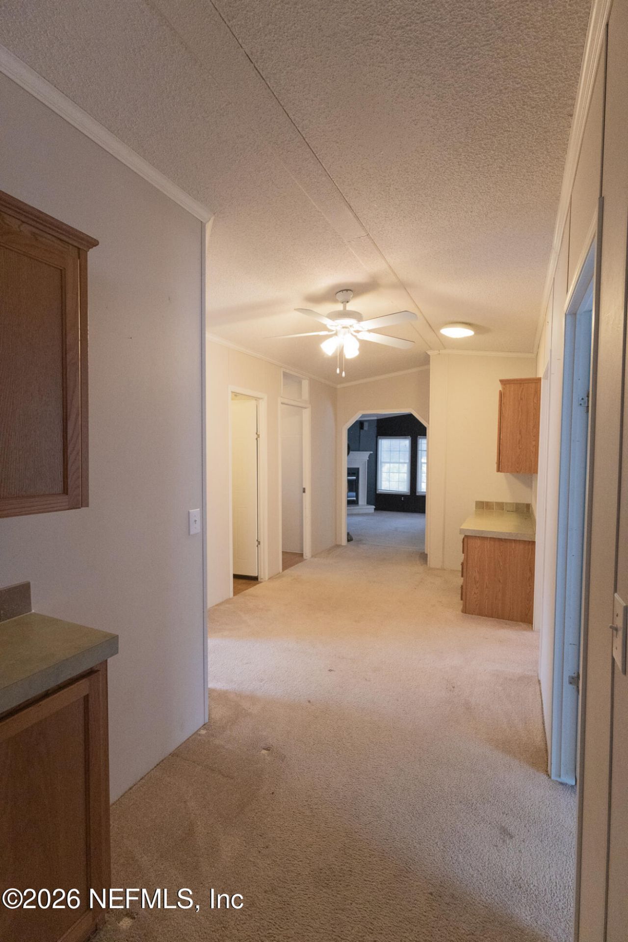 203 Palmetto Court, Georgetown, FL 32139 Photo