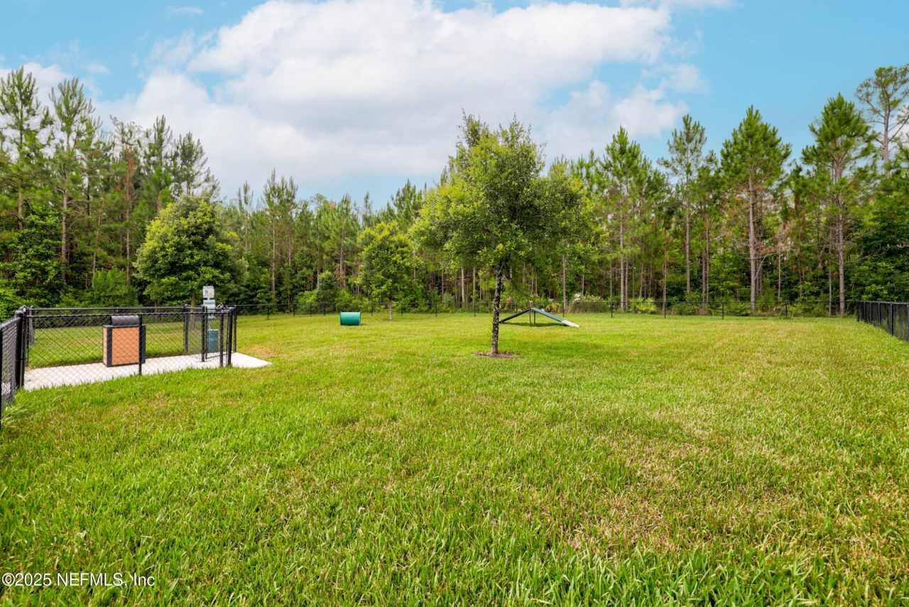 10546 Silverbrook Trail, Jacksonville, FL 32256 Photo