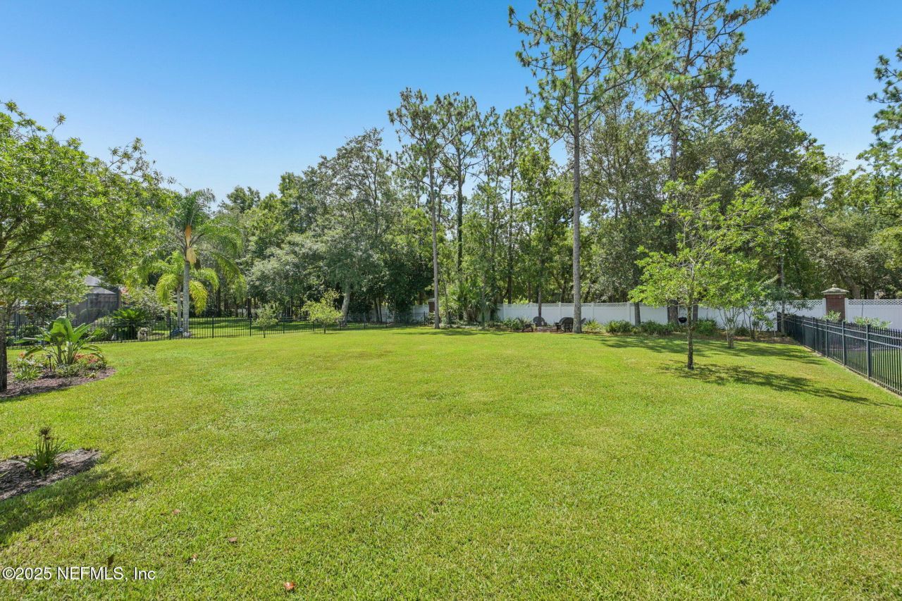 509 Bronze Branch Court, Saint Johns, FL 32259 Photo