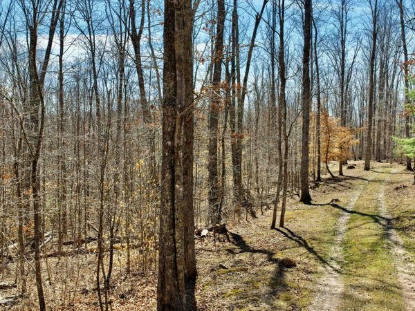 Tbd Watts Drive, Lewisburg, WV 24901