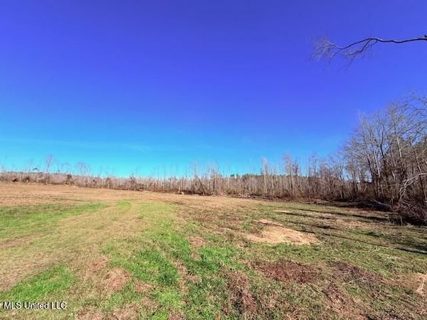 40 Clarence Bullock Road, Tylertown, MS 39667