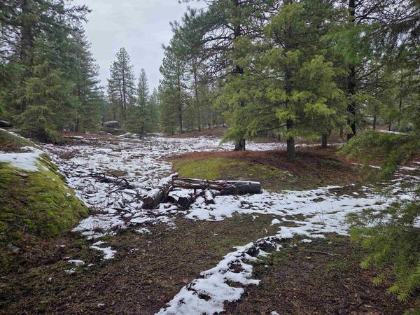 260 Slate Rd, Newport, WA 99156