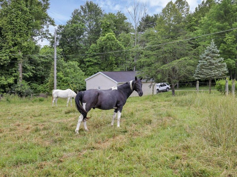 983 Sauk Court, Sugar Grove, OH 43155 Photo 65