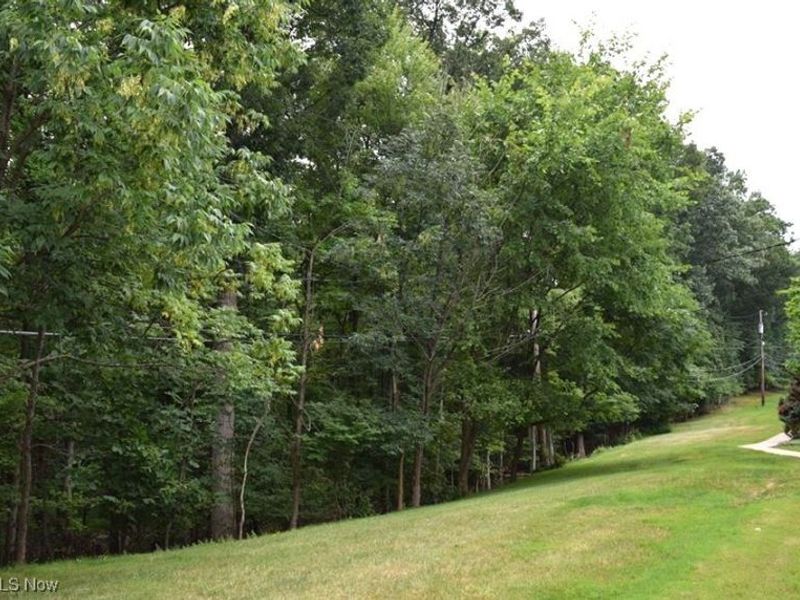 7030 Carriage Hill Drive, Unit 202, Brecksville, OH 44141 Photo 3