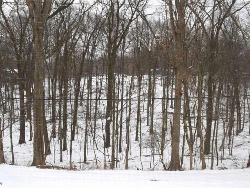 7030 Carriage Hill Drive, Unit 202, Brecksville, OH 44141 Photo 4