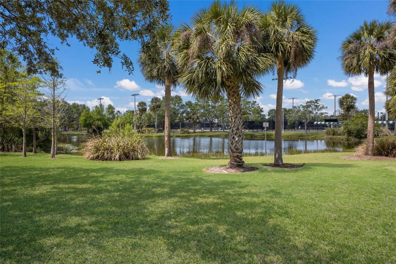 2245 Muesel Street, Sarasota, FL 34237 Photo