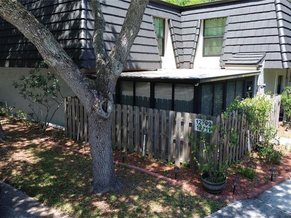 12709 TALL PINE DRIVE, TAMPA, FL 33625