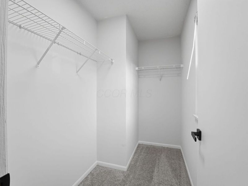 905 Wallace Drive, Delaware, OH 43015 Photo 49