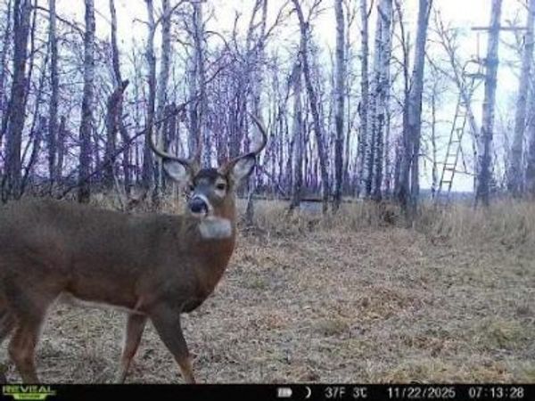 xxx Old 14 Road, Weyerhaeuser, WI 54895