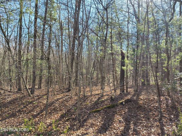 224 Newgate Rd, Crossville, TN 38558