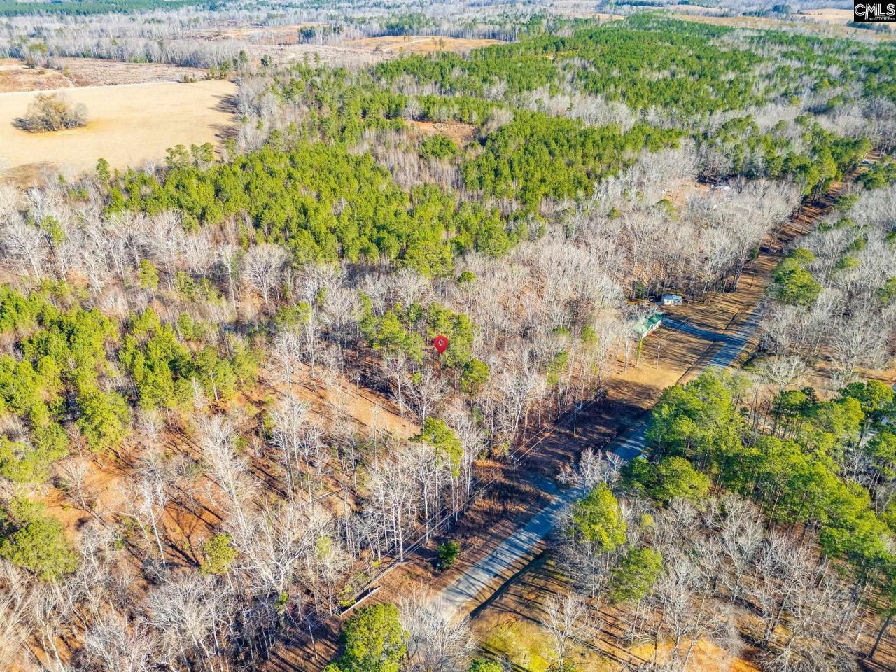 1058 Hinson Branch Road Photo 13