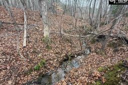 1058 Hinson Branch Road photo 4