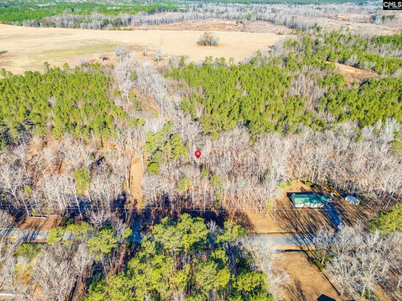 1058 Hinson Branch Road Photo 4