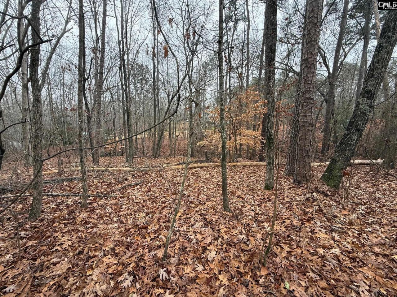 1058 Hinson Branch Road Photo 6