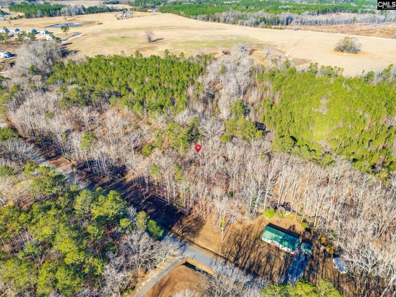 1058 Hinson Branch Road Photo 7