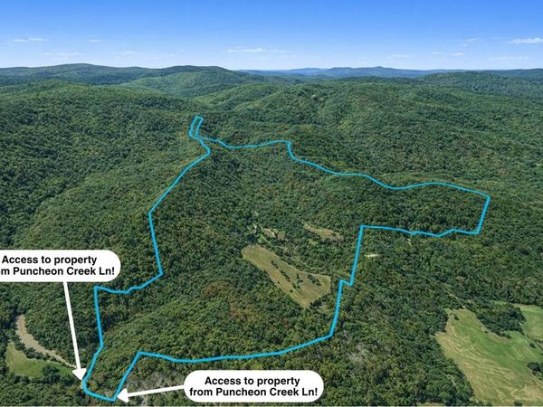 700+ AC Puncheon Creek Lane, Allred, TN 38542