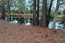 2701 Wise Rd. photo 4