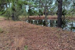 2701 Wise Rd. photo 4