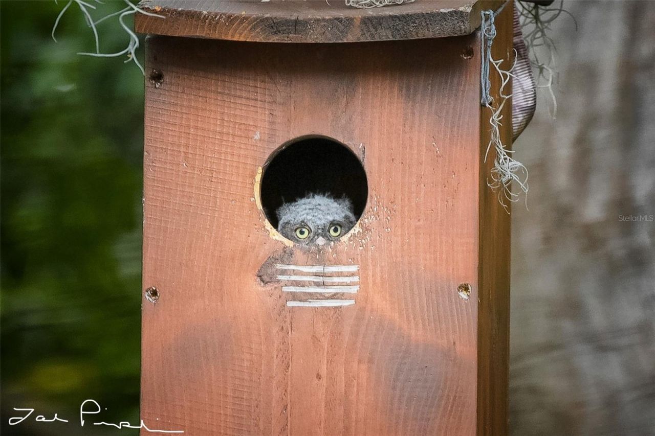 2156 Little Brook Lane, Clearwater, FL 33763 Photo