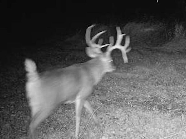 1050 Feather Trail Road, Olmstead, IL 62970