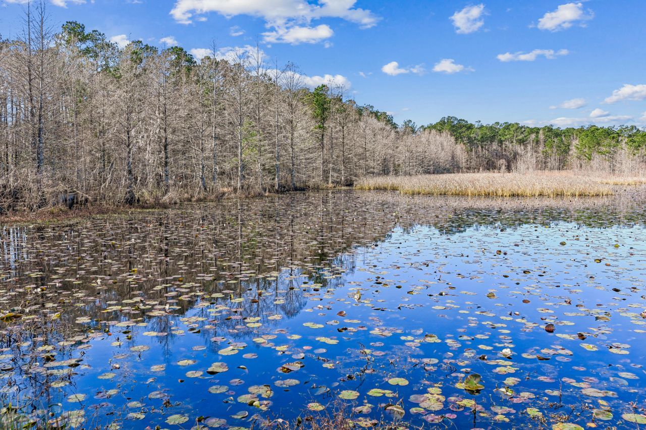 453 Eagleview Drive Photo 40