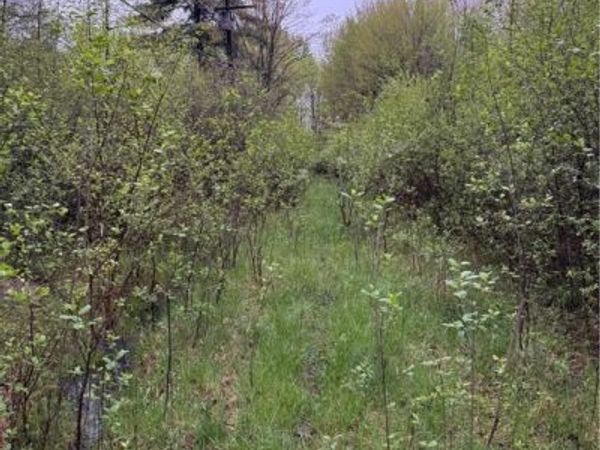 Durst Drive, Cortland, OH 44410