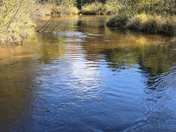 10652 N River Road, Unit A, Irons, MI 49644