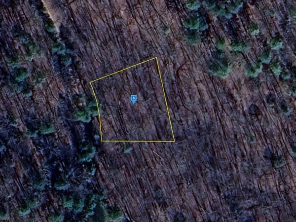 900 Private 417-38 Road, Williamsville, MO 65560