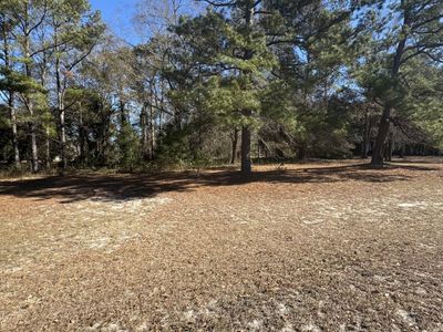 Tbd Bloomville Road, Manning, SC 29102