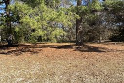 Tbd Bloomville Road photo 4