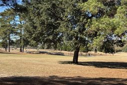 Tbd Bloomville Road photo 4