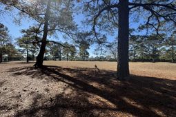 Tbd Bloomville Road photo 4