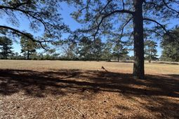 Tbd Bloomville Road photo 4