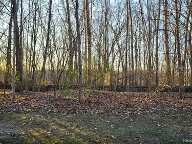 VL Pineview Lake Drive , Argentine Twp, MI 48451