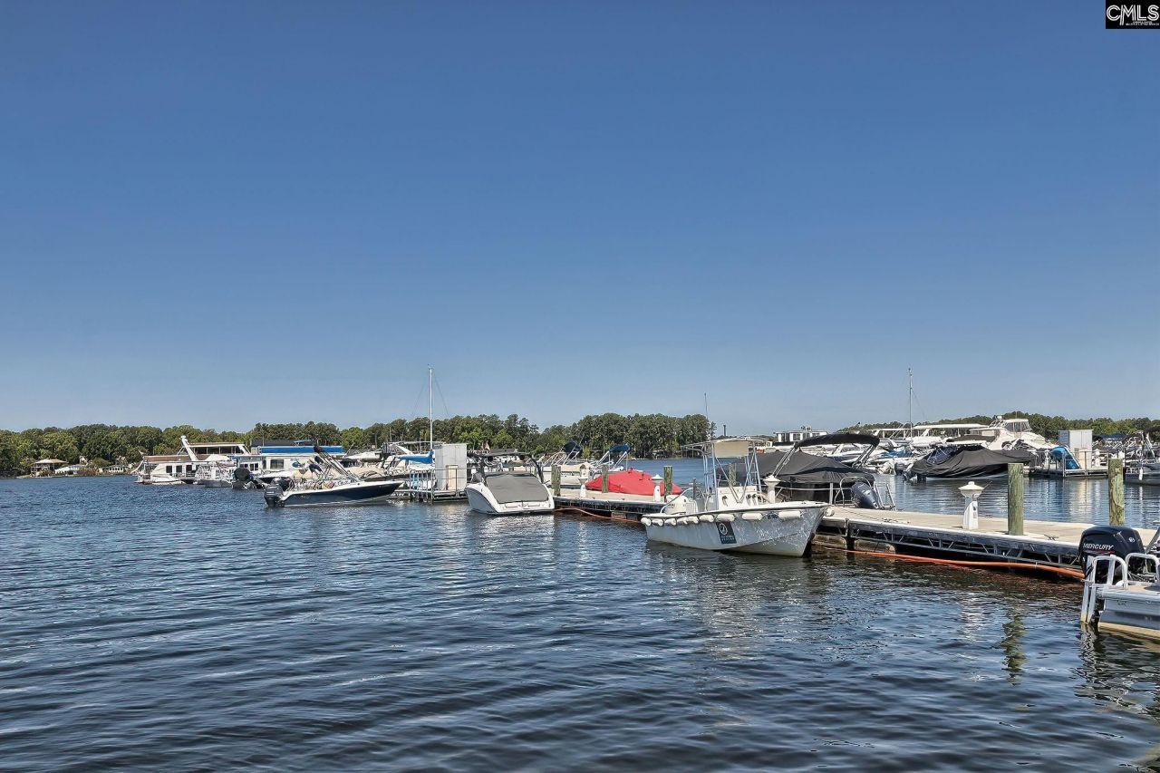 350 Chapin Place Way Photo 23