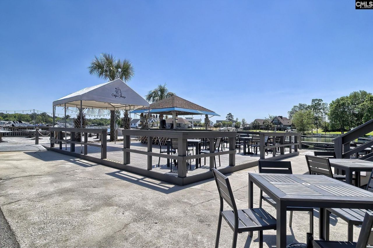 350 Chapin Place Way Photo 29