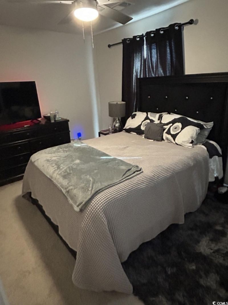 463 Ribbon Rail Way Photo 10