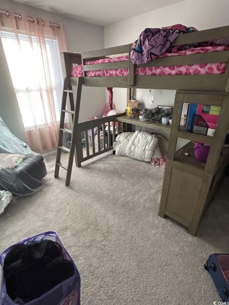 463 Ribbon Rail Way Photo 11