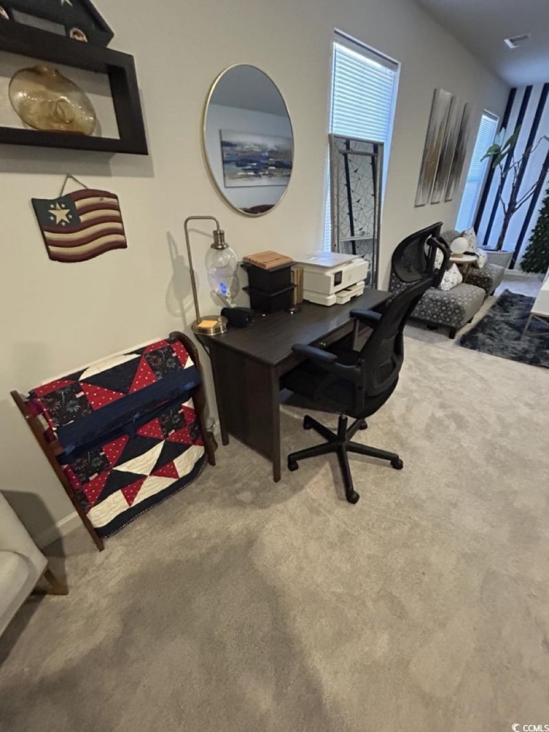 463 Ribbon Rail Way Photo 17