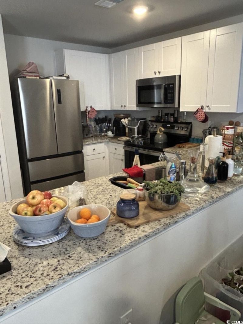 463 Ribbon Rail Way Photo 23